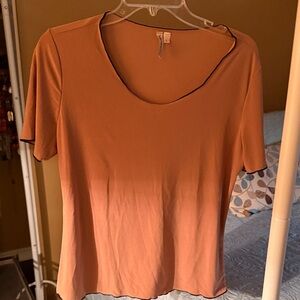Susan Lawrence Tan Short Sleeve Top
